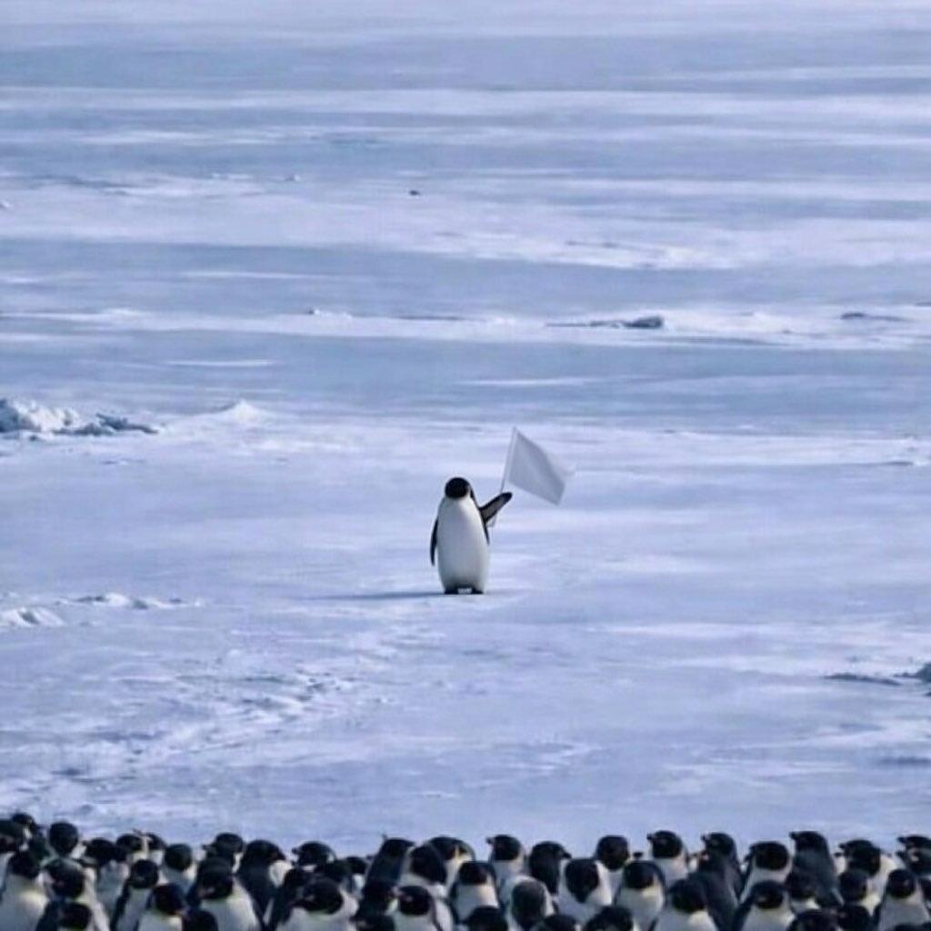 ReturnColony's tweet image. $RETURN Community Contest 🐧

We’re rewarding the best creators in the colony.

Memes, videos, threads, visuals : get creative.

The strongest content will be rewarded with fees.

🥇 1st place: 2 SOL
🥈 2nd place: 1 SOL
🥉 3rd place: 0.5 SOL

Create. Share. Stand out.

Let’s…