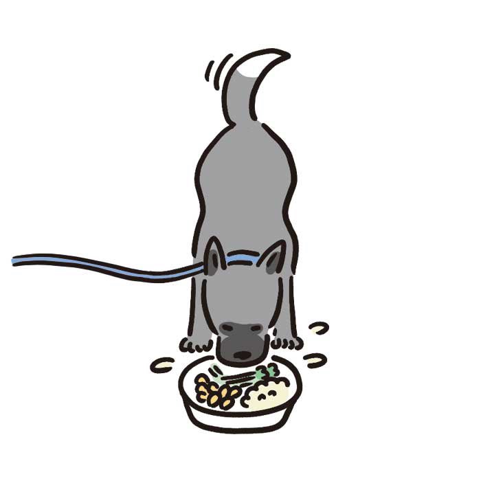 mshr_0612's tweet photo. いぬのきもち3月号「トホホ犬連れ旅」のイラストを描きました。
わんこも描きます。ウフフ

#いぬのきもち
#benesse https://t.co/gJQdEVcvsA