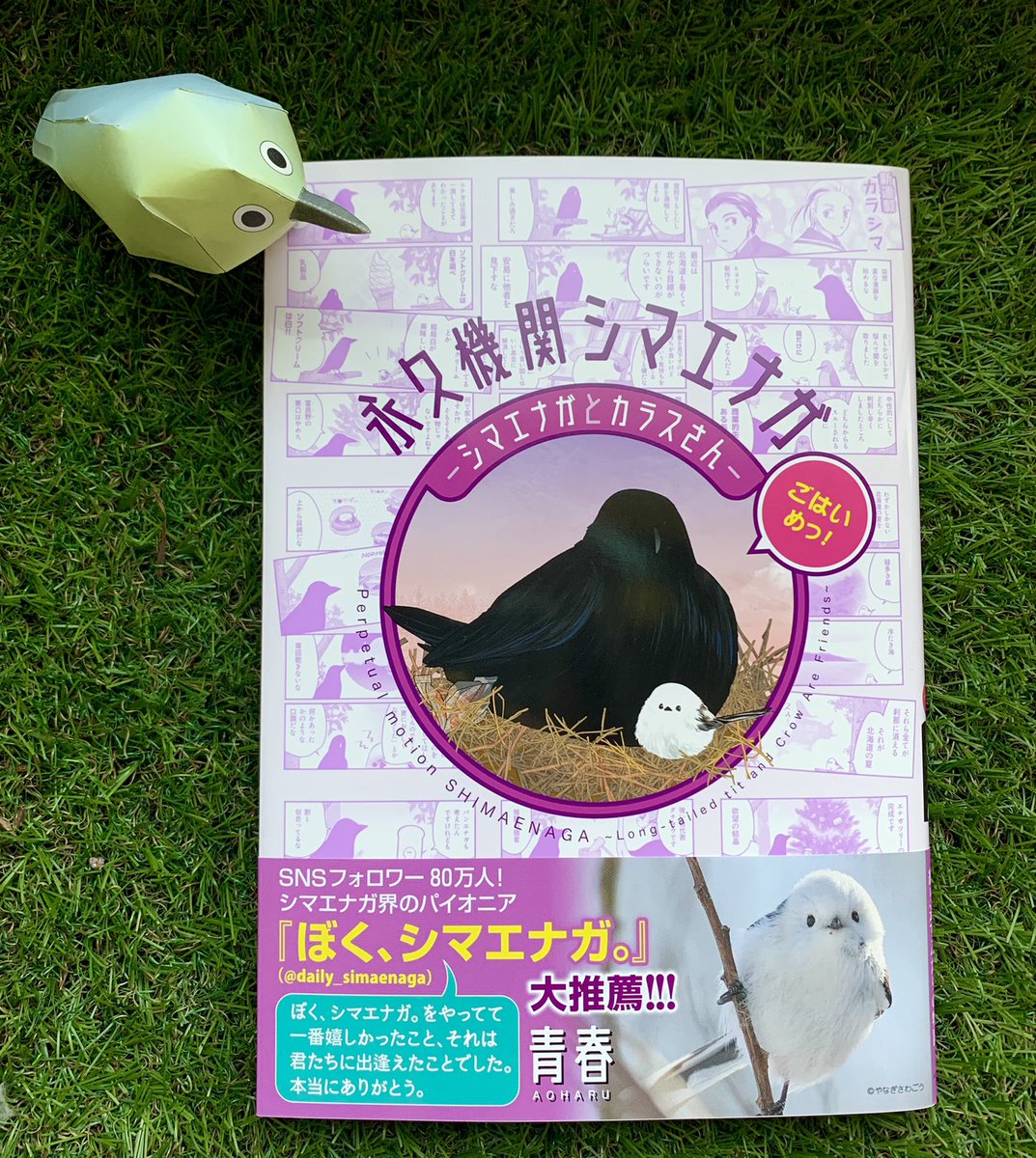 ✨✨✨✨✨✨✨✨✨ ✨✨本日🎊発売っ‼️✨✨ ❄️永久機関シマエナガ