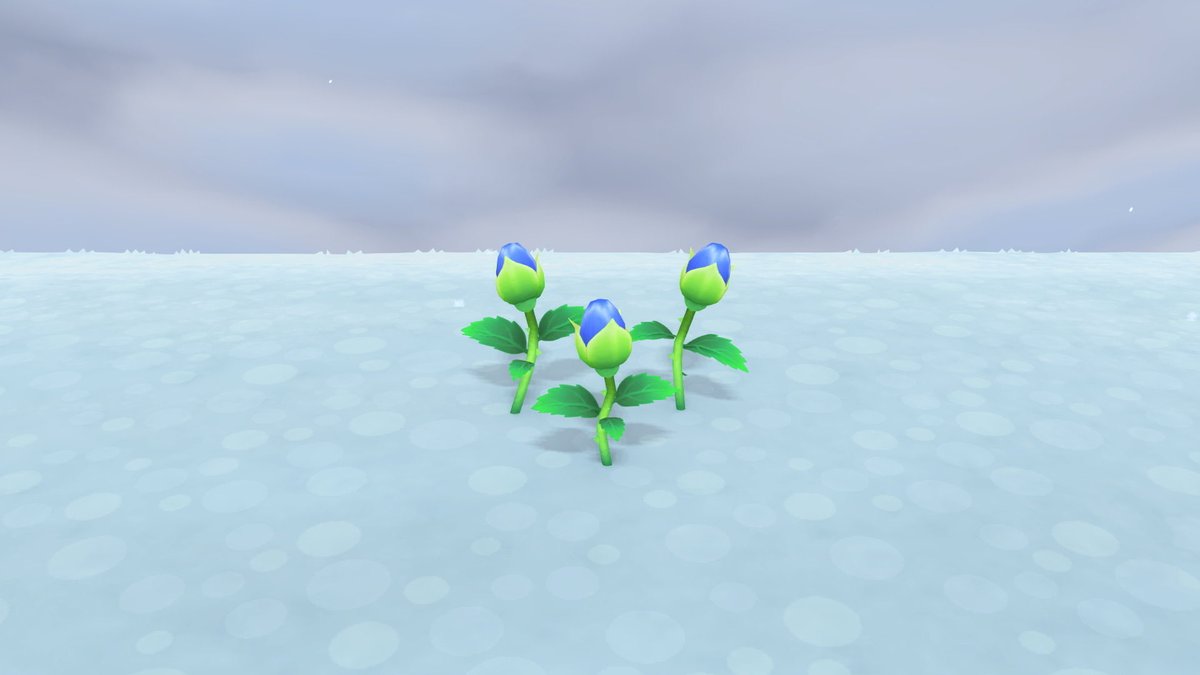 おハマ！✨️

昨日とうとう我らの「なにもかもうまくいく島」に青バラが咲きました！°˖✧◝(⁰▿⁰)◜✧˖°
これからどんどん増やすぞ〜✨️
みんなほんまにありがとね！

今日も一日気をつけて過ごしてな🍀