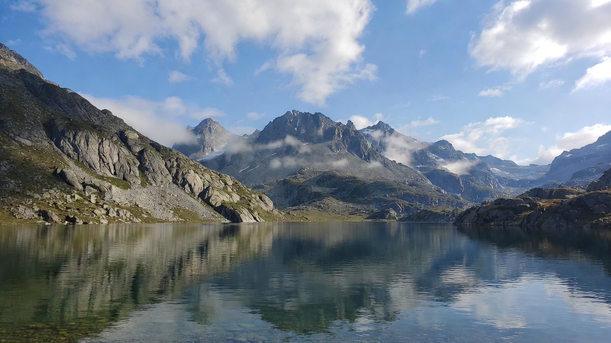 Daniel Duncan tweet media