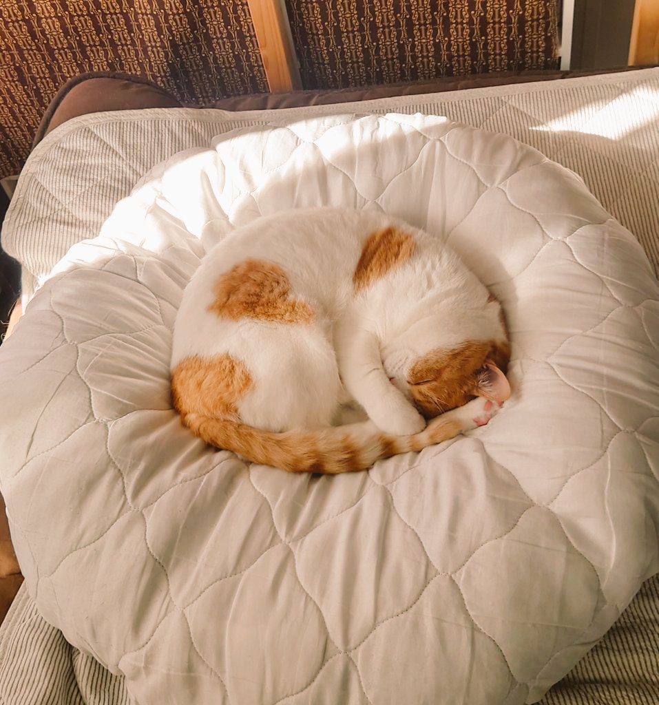 おちゃまる (@ochamarusan0126) / Posts / X