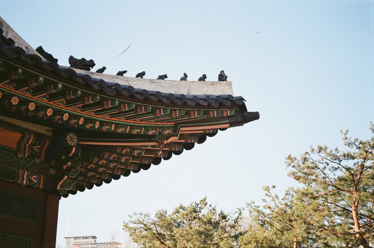 단청을 봅시다.
            일반 카메라.                            필름.