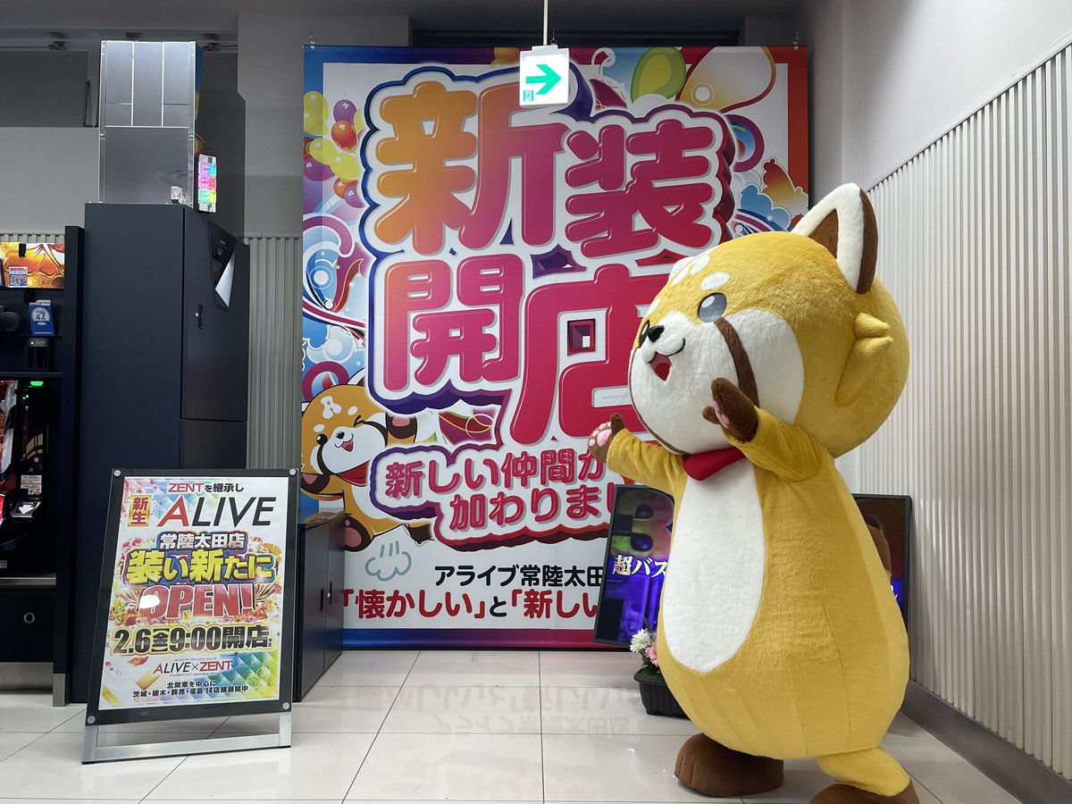 あらポン🦝＆ぜんと君🚹 (@zentkun_03) / Posts / X