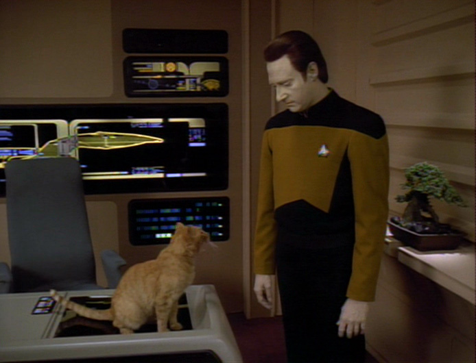 Jules. ༒ (@schumisnoopy) on Twitter photo 