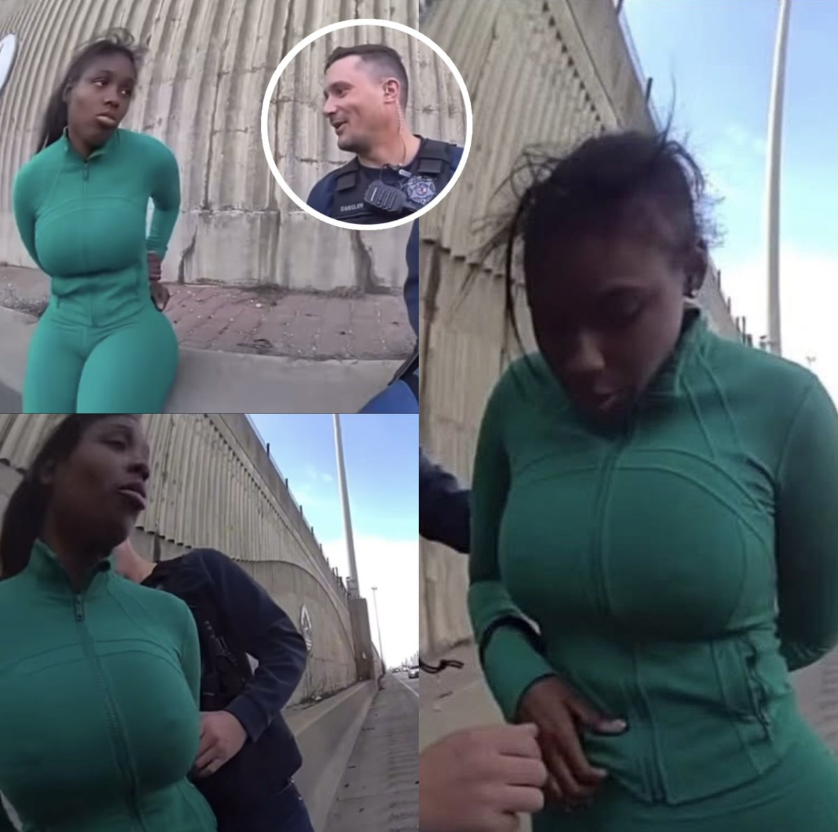 Wild Videos tweet media