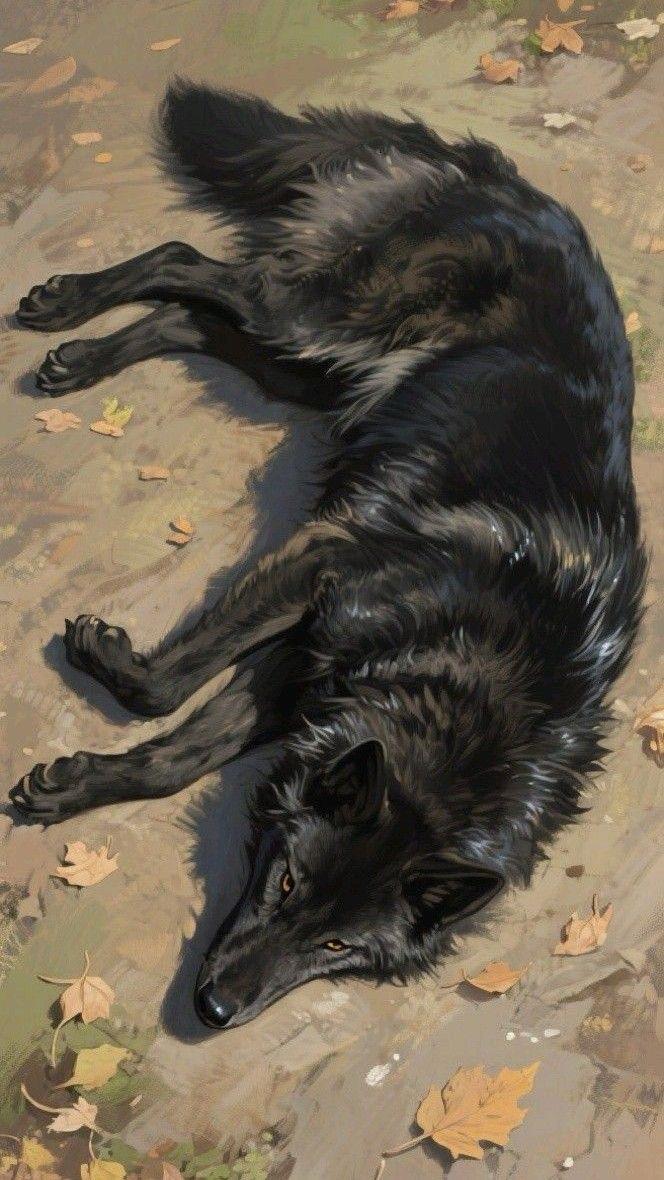 Lens of the world (@worldreamvibes) on Twitter photo 