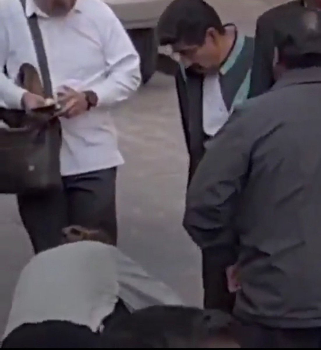 Su alteza vulgarsísima.

Tal como el fraude que lo llevó al poder.