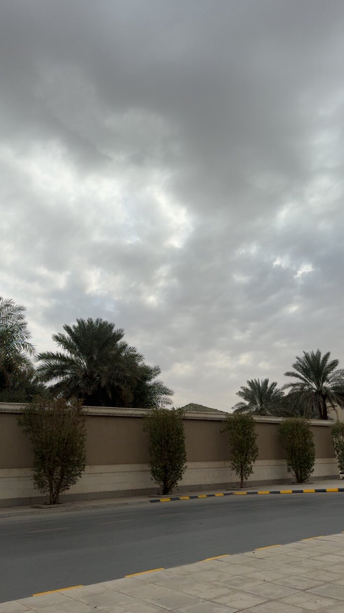 _THEWADHA_'s tweet photo. نجد موعوده بمطر غيمها جاب الخبر 🤍 https://t.co/B2mjDjIGYa