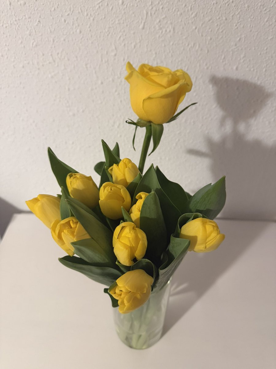 Joseero11's tweet photo. 💛 https://t.co/vCnwj7nymF