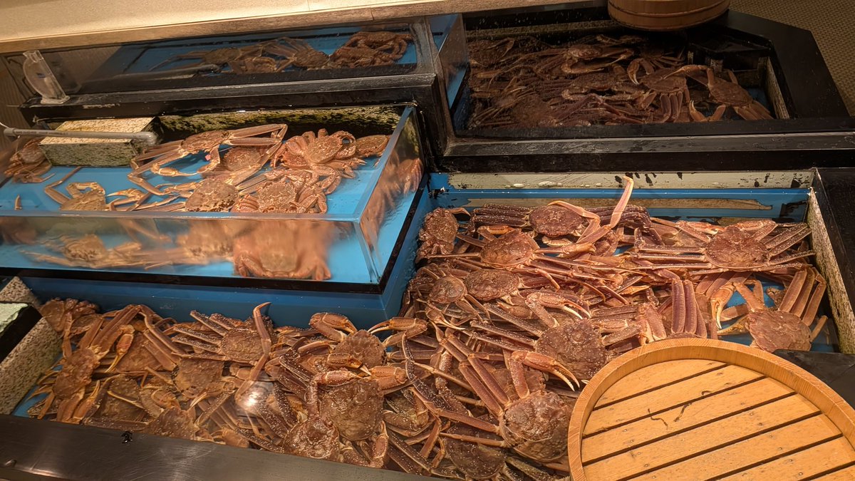 おすしちゃん🍣【OSUSHI】 (@sxtxnxch) / Posts / X