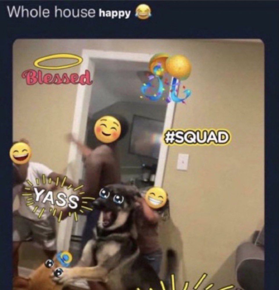 luna 🦭 tweet media