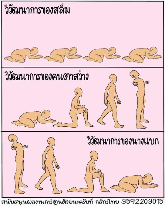 #นางแบกเพื่อไทยภัยสังคม โดยเฉลี่ย