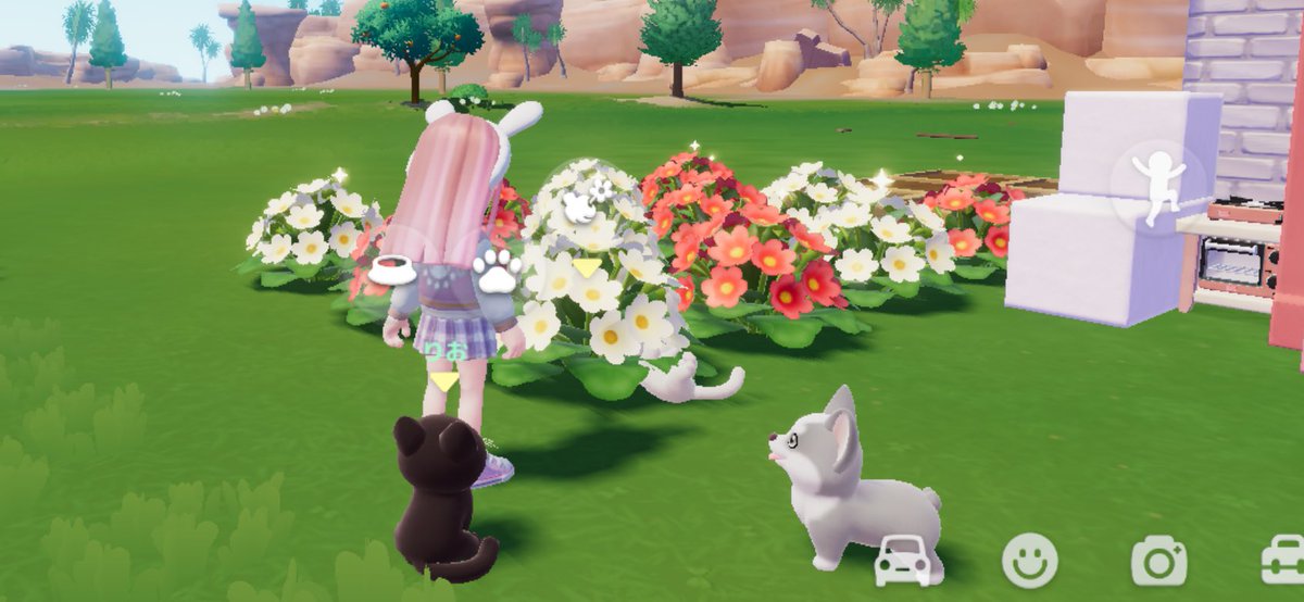 🥀⚡︎ 桃兎。(ももうさぎ) ⚡︎🥀 (@RabbitPeach_53) / Posts / X