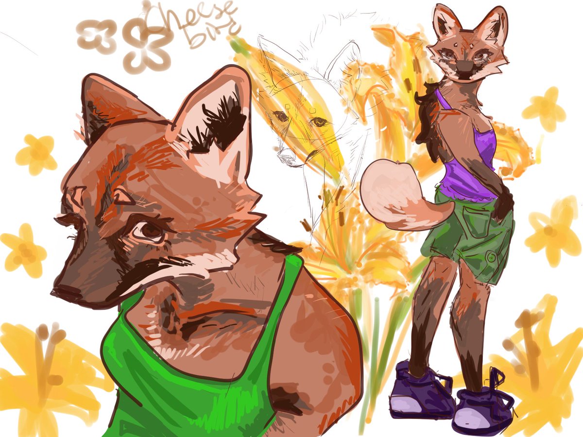 cheesbird tweet media