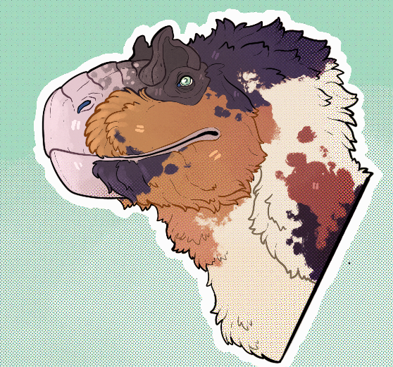 Whitney🇮🇪☘️ (@mountwhitney) on Twitter photo 