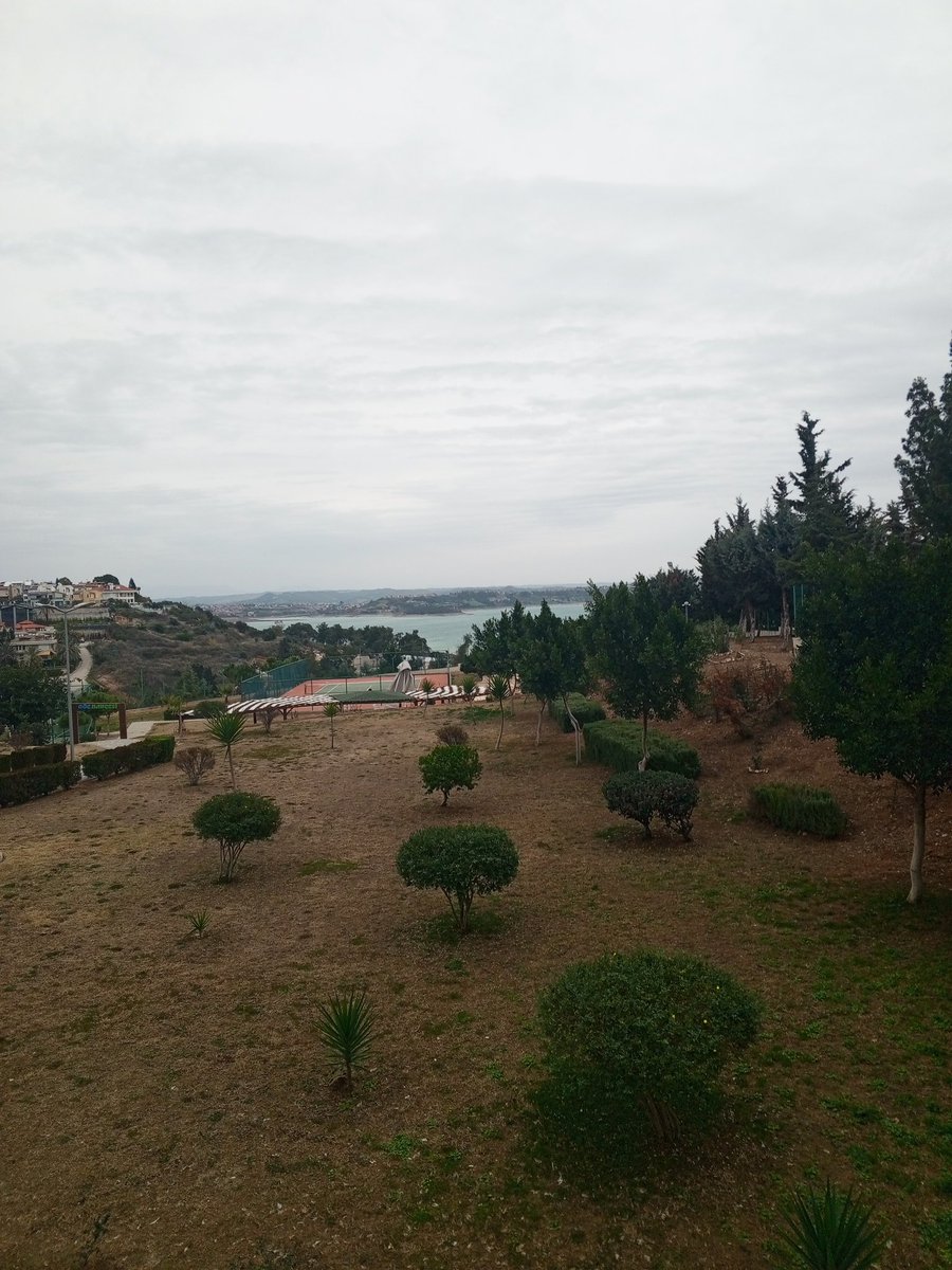 Güzel bir günaydın,.