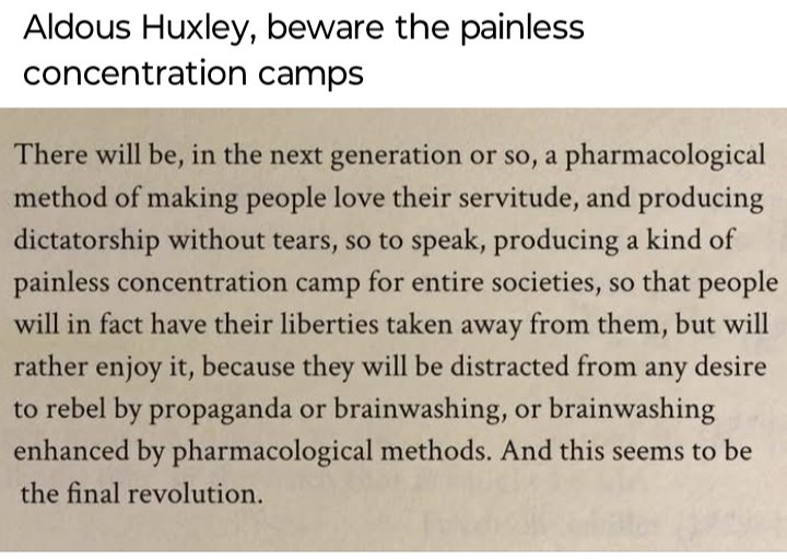 Crazy Diamond 🇺🇸 🇺🇸 🇺🇸 🇺🇸 (@zahncrelnik) on Twitter photo 