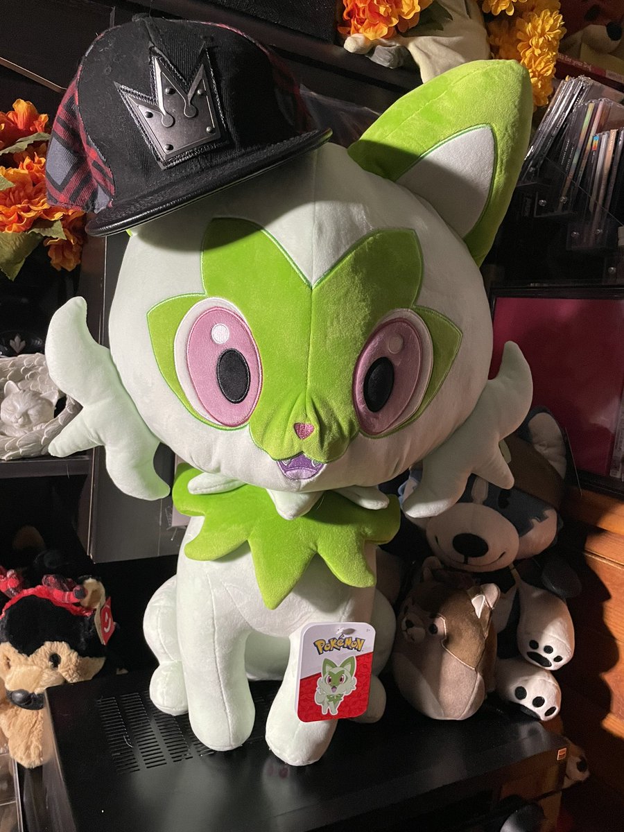 🌹👑AlejandroGSD👑🌹 tweet media