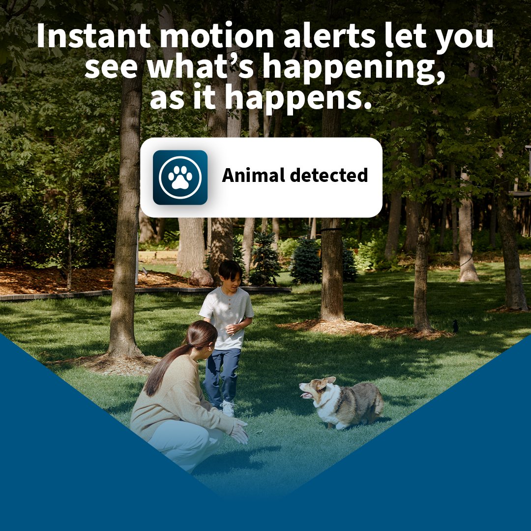 Arlo AUS NZ tweet media