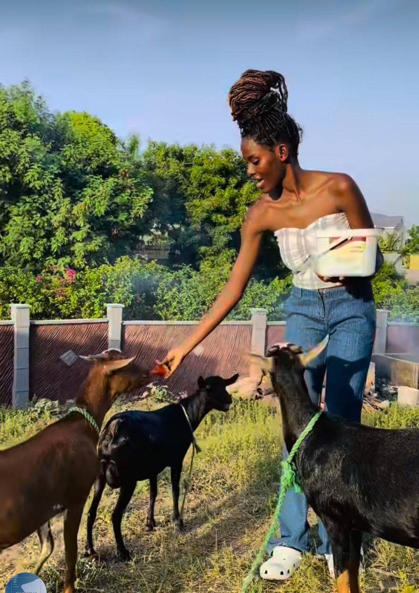 TravisKitengo_'s tweet image. Nimeamka njaa inauma kinoma alafu nakutana na Huyu binti analisha mbuzi msosi wa binadamu😭😭😭💔💔💔💔