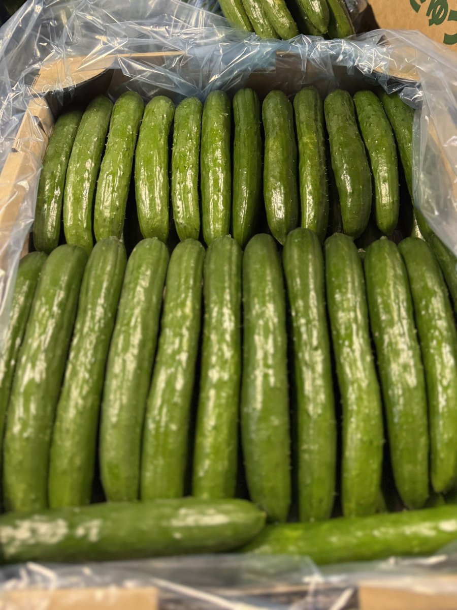 「曲がってるから売られてる。真っ直ぐすぎると消える。」

A 秀品（画像2枚目）

曲がりほぼゼロ
長さ・太さが規格どおり
見た目が均一

行き先
•飲食店
•カット野菜工場
•漬物・加工場

理由はシンプルで、
機械処理・大量調理は「形が揃ってる方が圧倒的に楽」だから。

実はこのA秀品、