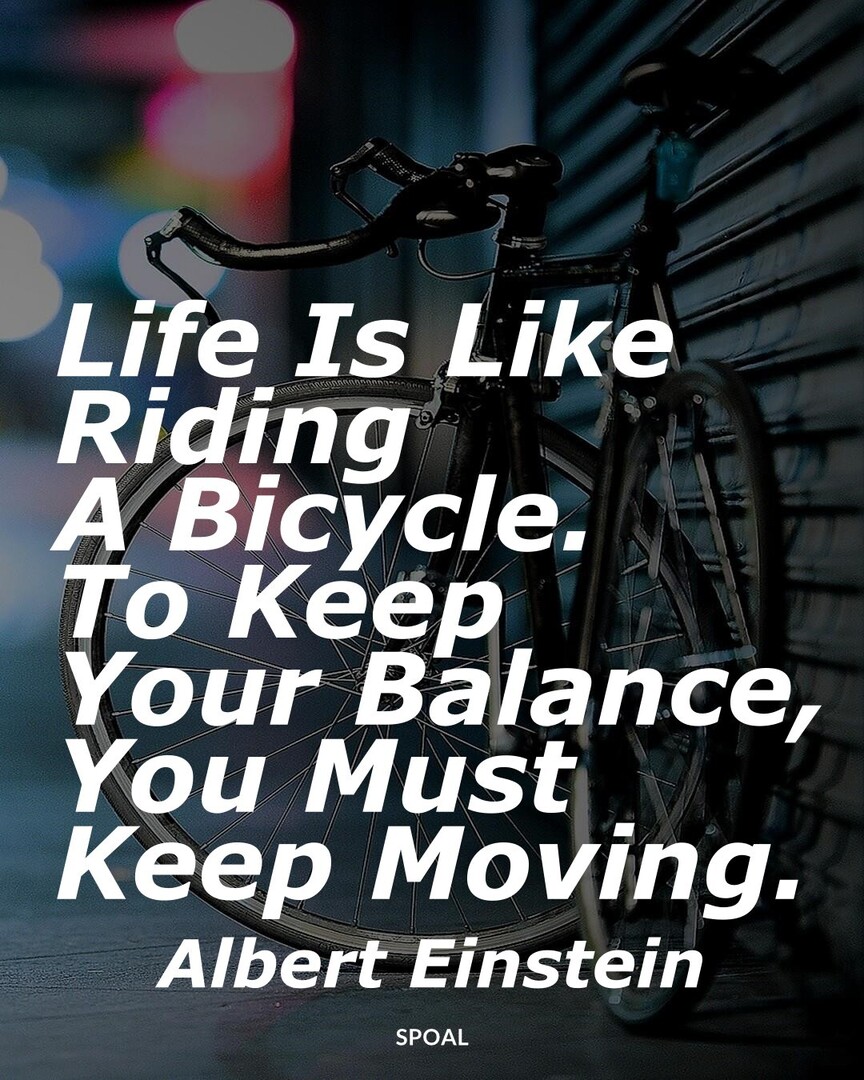 Business Management tweet media