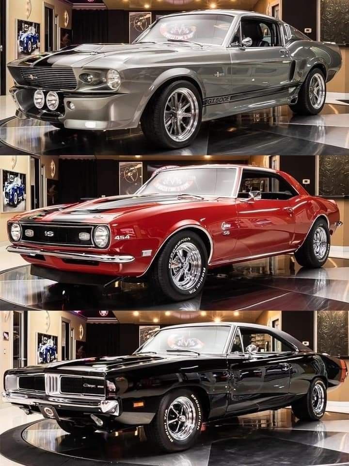Top, Middle, or Bottom?