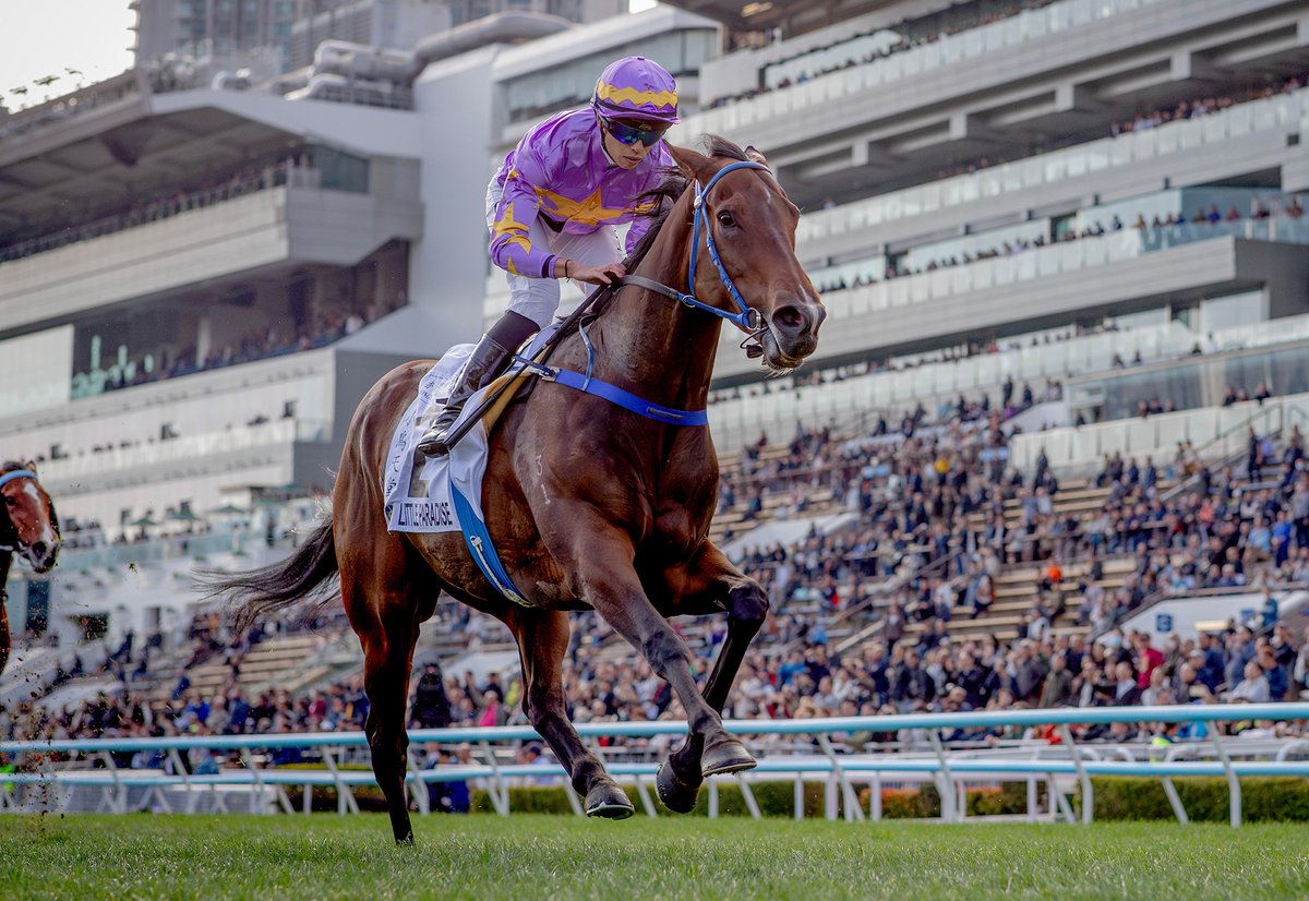 HKJC Racing tweet media