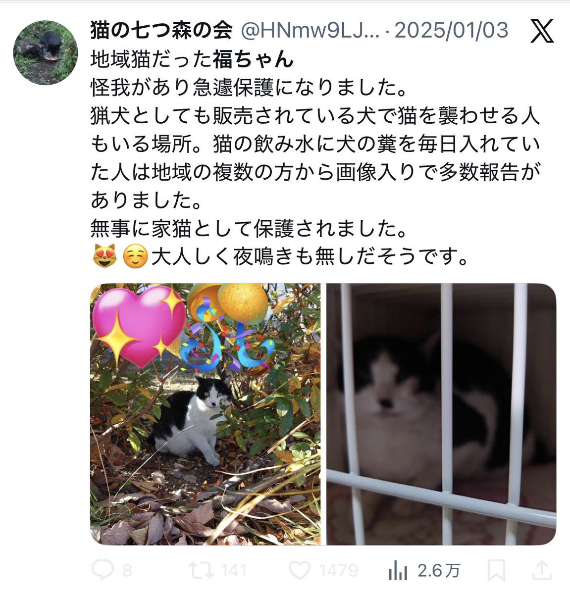 何がおかしいって。ある猫を緊急保護したいと保護にかかる支援を募り、その猫は緊急保護されず、結局他の人が保護して全額費用負担もしたわけだけど、その猫の保護にかかった費用は里親が払ったから当然収支報告に反映されないという主張かな🥺
それは横領だから😇#猫の七つ森の会