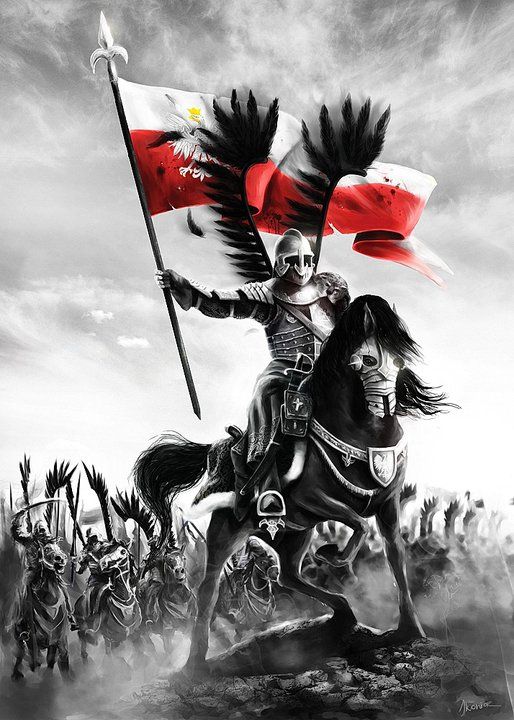 My Polacy potrafimy walczyć o wolność i wiarę♥️🇵🇱🌹✌️