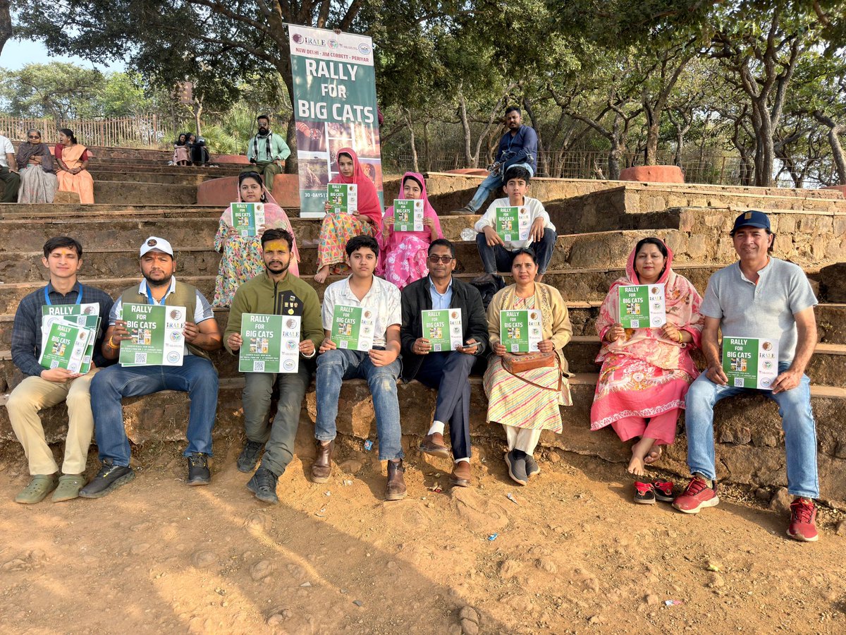 International Big Cat Alliance (IBCA) tweet media