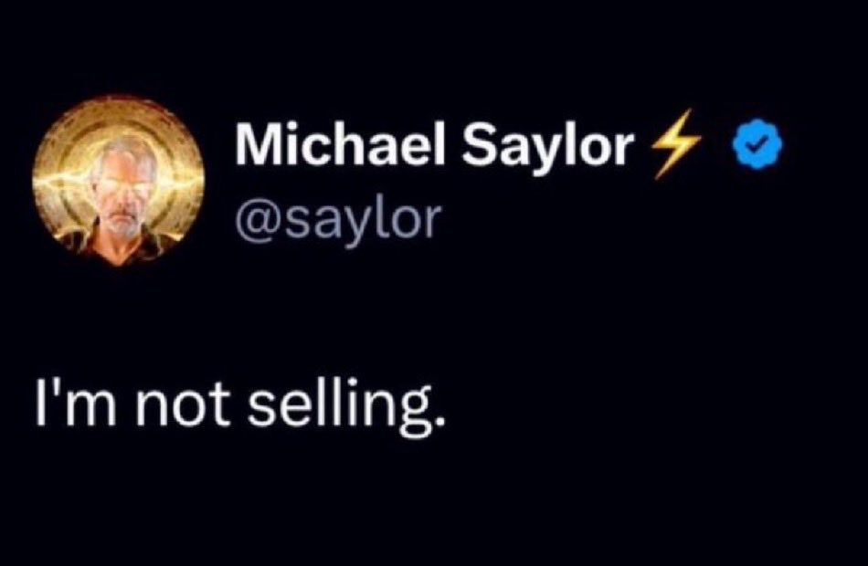 Documenting Saylor tweet media