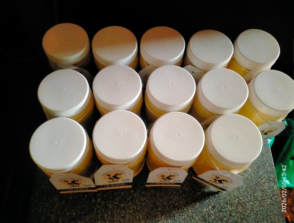 Good morning UoX
AS WE ATTACK THE DAY. 

Don't allow your children to report back to school without <a href="/amaj_ta_ghee/">Amaj'ta Natural GHEE.</a>. 

0700 690045/0706306276