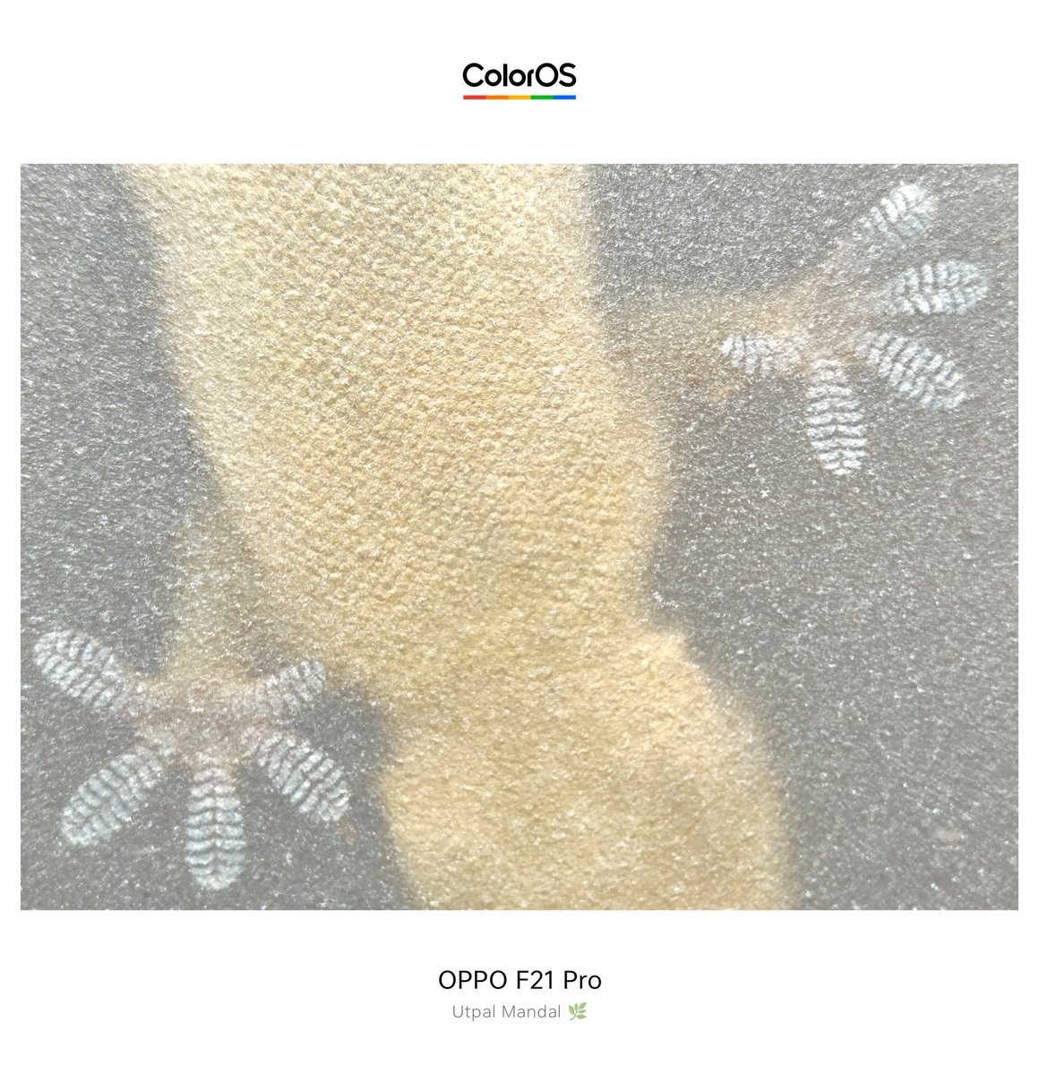 Utpalmandal2022's tweet photo. My photography work. 
#ShotonOPPO 
#ColorOS
#OPPOGraphy #OPPOCommunity
@oppo @OPPOIndia @OPPOCareIN https://t.co/G8DTSRZjNV