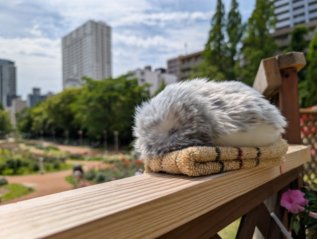 もうやだ帰りたい
毎月数字が合わなくなる私の呪われたPC窓から捨てていいかな
#全部無学なわたしのせい