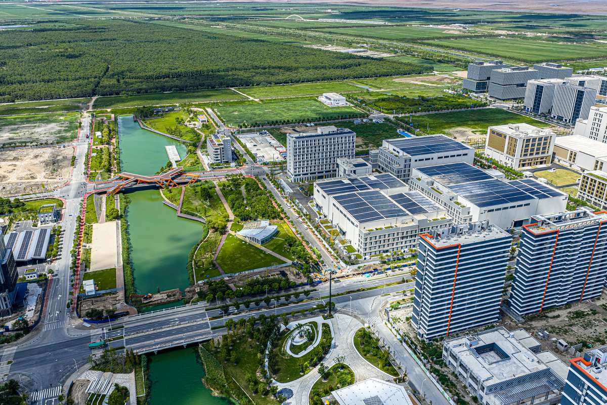💬Lin-gang launched its film &amp; TV AI creation platform and "going global" base on Feb 5. The project, a key move to enhance the area's digital cultural industry, centers on tech innovation and global expansion services, boosting efforts to upgrade the industry.