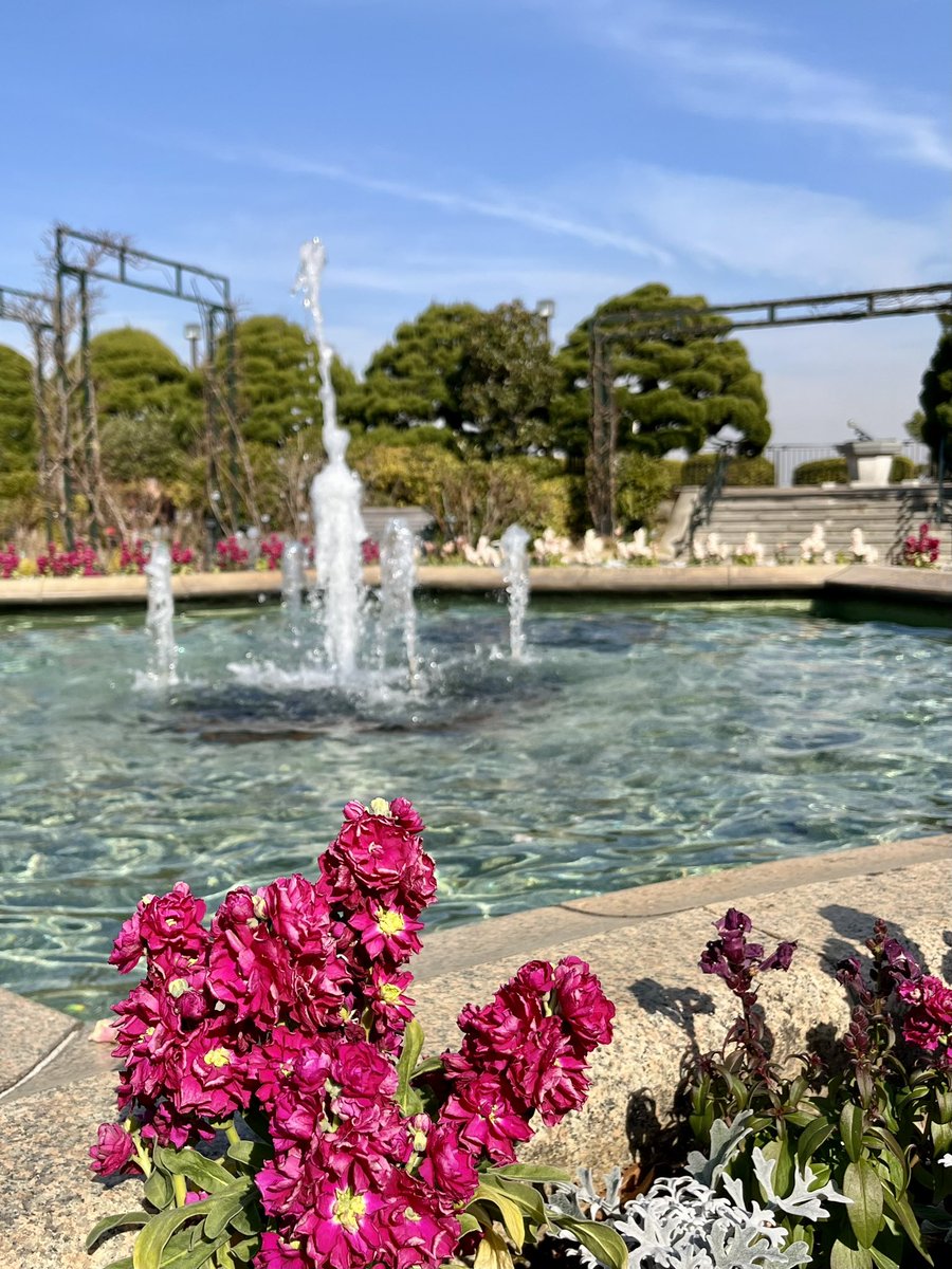 大江 フミト tweet media