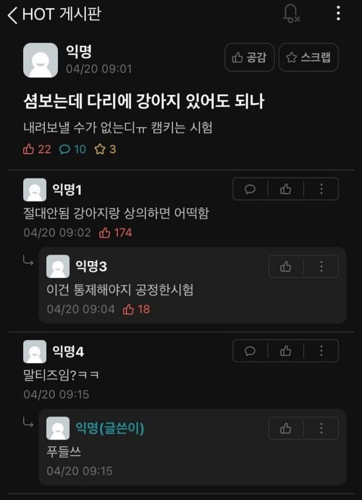 이때도 사람들이 푸들은 안된다고 함