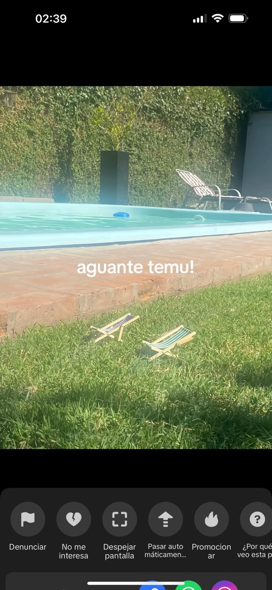 cartonero tweet media