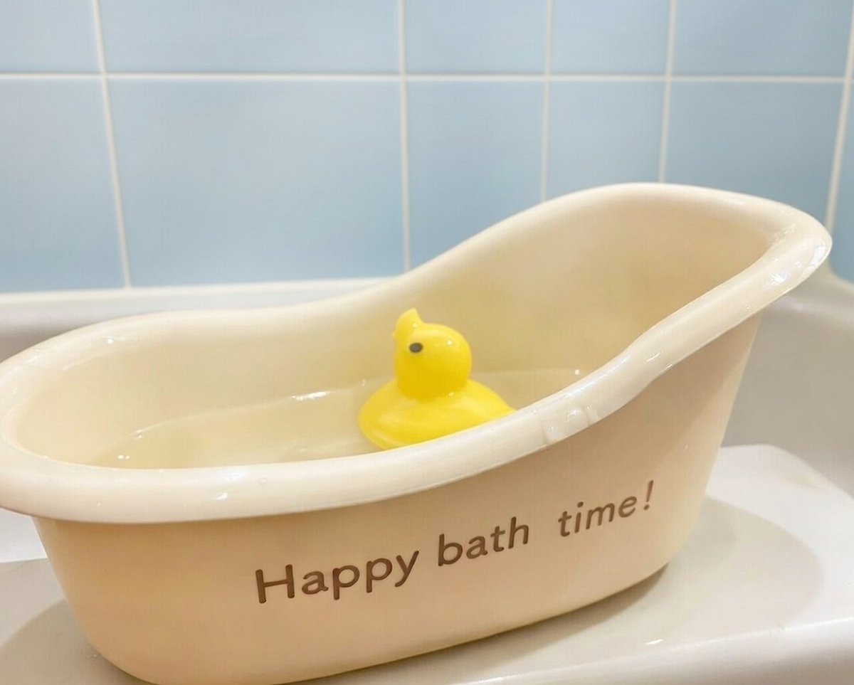 ハシートップイン【公式】🐥 (@HashyProduct) / Posts / X