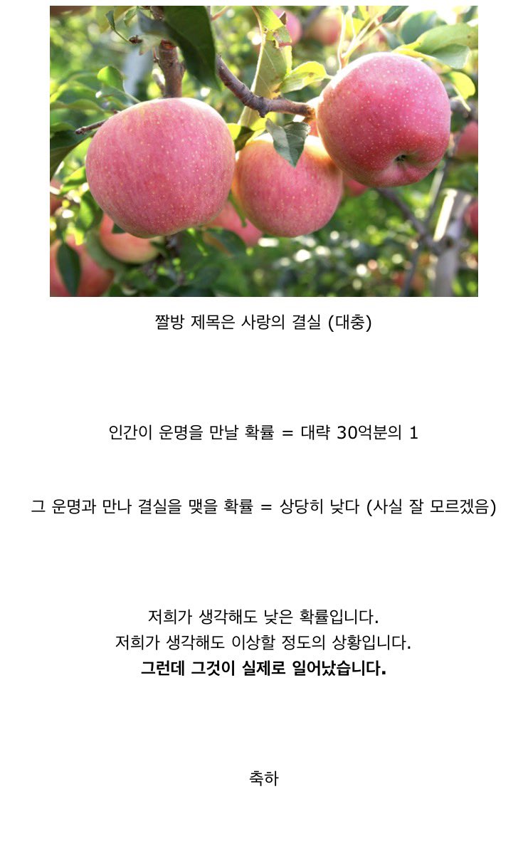 epikishere_'s tweet image. 자기 존나 낮은 확률을 뚫고 첫사랑이랑 사랑의 결실 맺엇다고 자랑하는 거  아