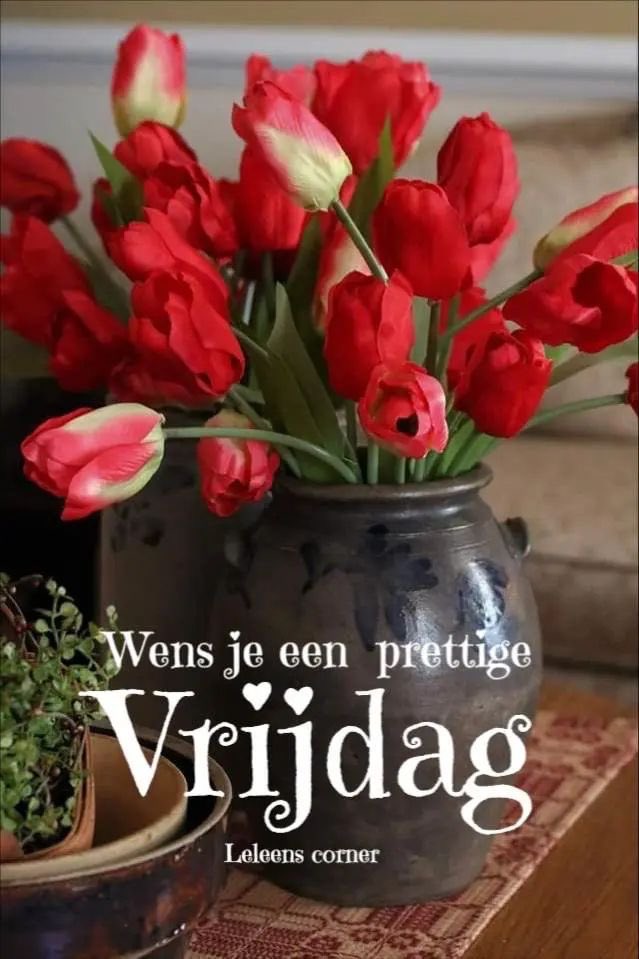 geuvelspetro's tweet photo. Goedemorgen iedereen https://t.co/SqaTHGtEr7