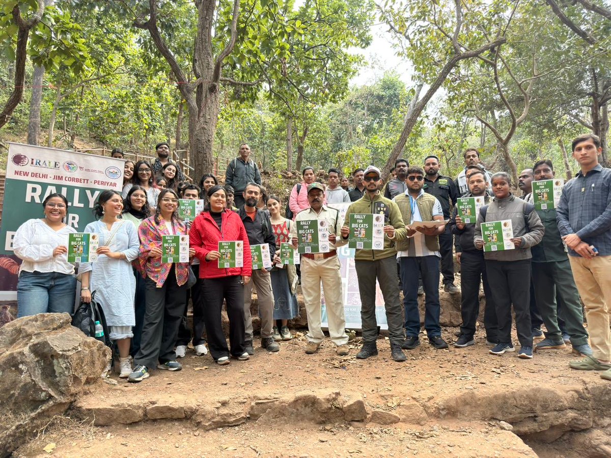 International Big Cat Alliance (IBCA) tweet media