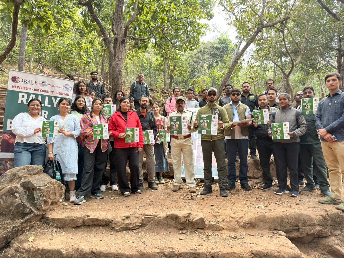 International Big Cat Alliance (IBCA) tweet media