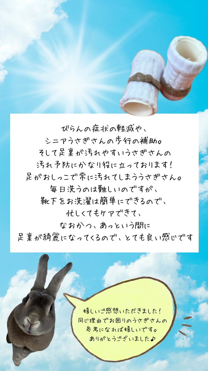 嬉しいメッセージいただきました🥰
#うさぎのたからもの