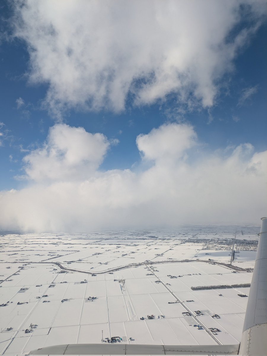 にゃんず tweet media