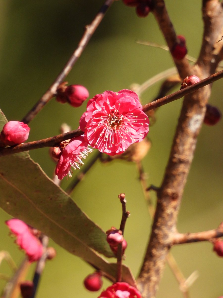 今日は暖かい
でも来週から現場がスタートするので暖かくなって欲しい🙏