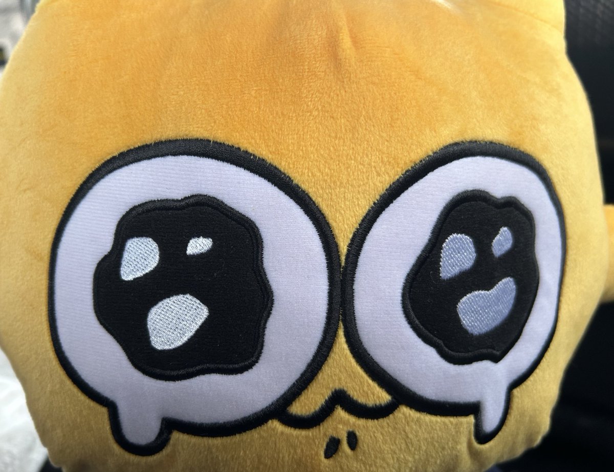 うーたとれたよ🥰🥰
 #うんたねこ