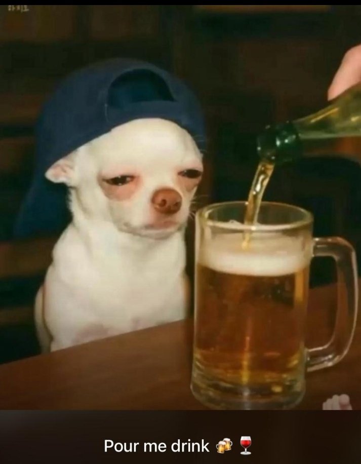 GM CT 😘
It's Friday 🥹

Make me I use this one hold body 🍺
Active for mutuals 💪